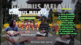 Musik Panting Melayu kumpulan (Instrumental) merdu
