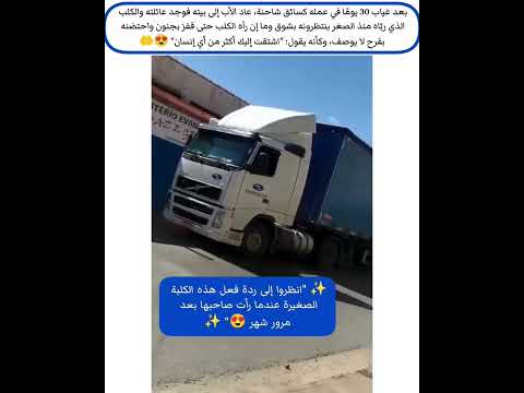 ردة فعل الكلب بعودة صاحبه من السفر بعد غياب شهر كلاب الوفاء أميركا كندا فرنسا برشلونة دمشق