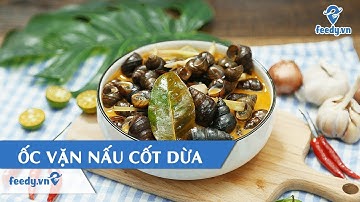 Hướng dẫn cách làm món ỐC VẶN NẤU CỐT DỪA | Feedy TV
