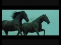 Black horses - Now we are free (Lisa Gerrard)