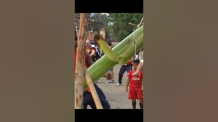 로우 킥으로 나무 부시려다 결국 ㄷㄷ