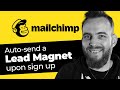 How to Set up a Lead Magnet with MailChimp (Auto Deliver a Lead Magnet in MailChimp!)