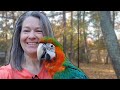 How Training Changes Your Relationship With Your Macaw | Jen + Tegan