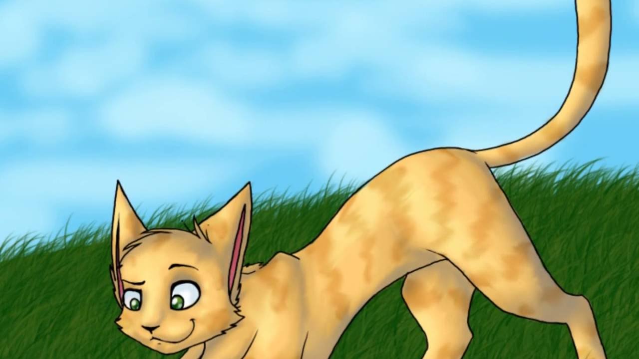 Картинки котов воителей песчаная буря