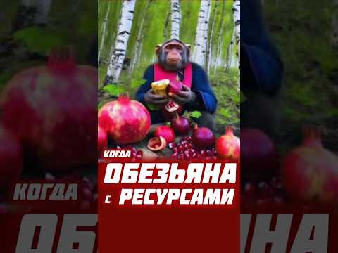 КОГДА ОБЕЗЬЯНА С РЕСУРСАМИ #новости #сегодня #россия #вести #черноеморе #нефть #украина #рф #shorts