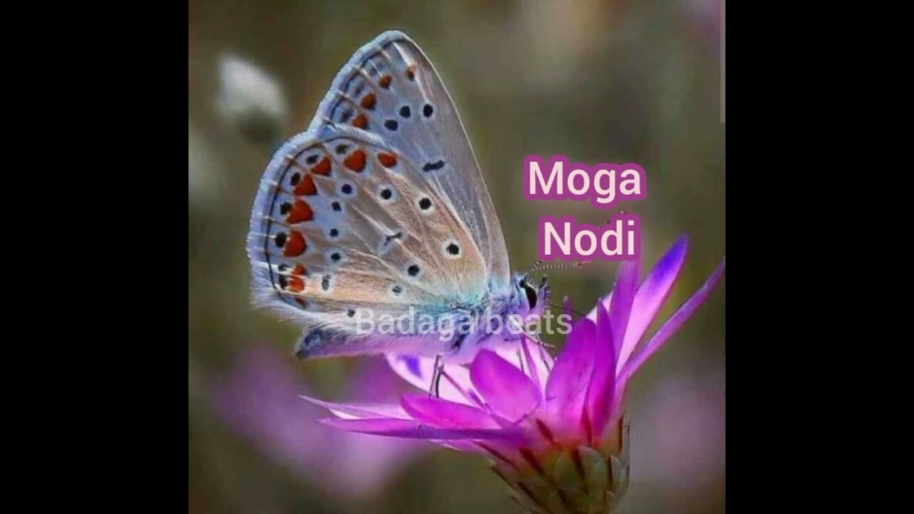 Badaga Song  Moga Nodi Mathadi