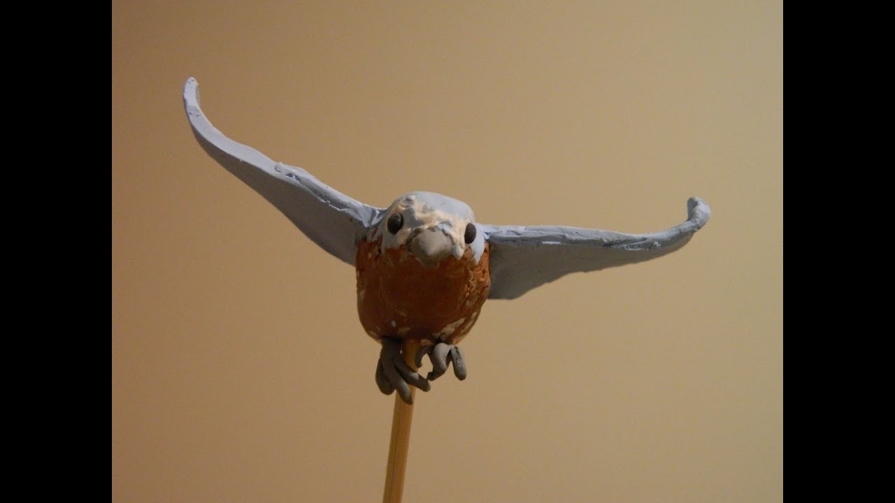The math and biology of bird flight... Briefly - YouTube