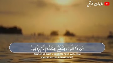 آيه الكرسي القارئ/ ياسر الزيلعي