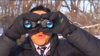 Tips For Watching Bald Eagles