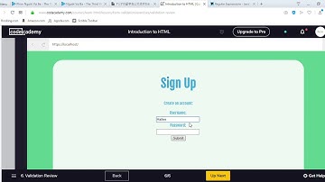 Introduction to HTML   Codecademy   Forms Validation