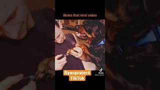 Growling Rottweiler Gets His Nails Clipped. Bear From Tiktok First Viral Video Over 200Mill Views