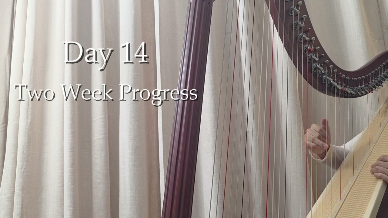 Harp Practice Day 14 - Two Week Progress Check In