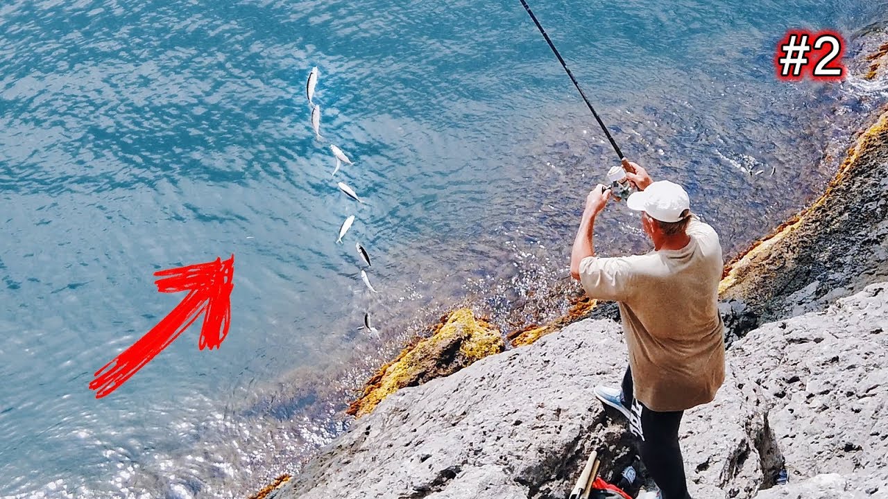 #2 / 10 РЫБ ЗА РАЗ - местные ловят рыбу в море! Морская рыбалка в Крыму - ловля ставриды. Новый Свет
