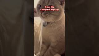 Is Upset That Its Monday Again. 😸😸😸 Resimi