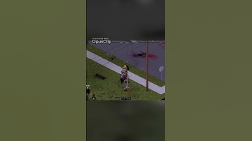 You Need to See This Battle on the Rooftops Defending my Crops Against Garden Invaders