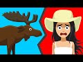 What to Do When a Moose Charges You