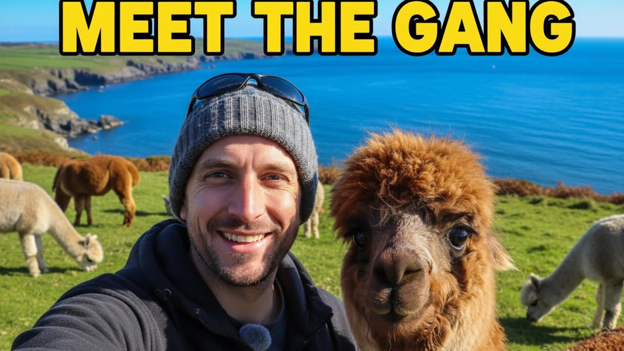 Meeting our family: From Greek Horses to Irish Alpacas ! 🦙 🇮🇪