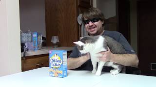 Announcing Mishas Cats & Chicken N Biscuit Channel