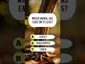 Which Animal? 🤔 #quiz #triviatricks #trivia #mindbendingquiz #facts