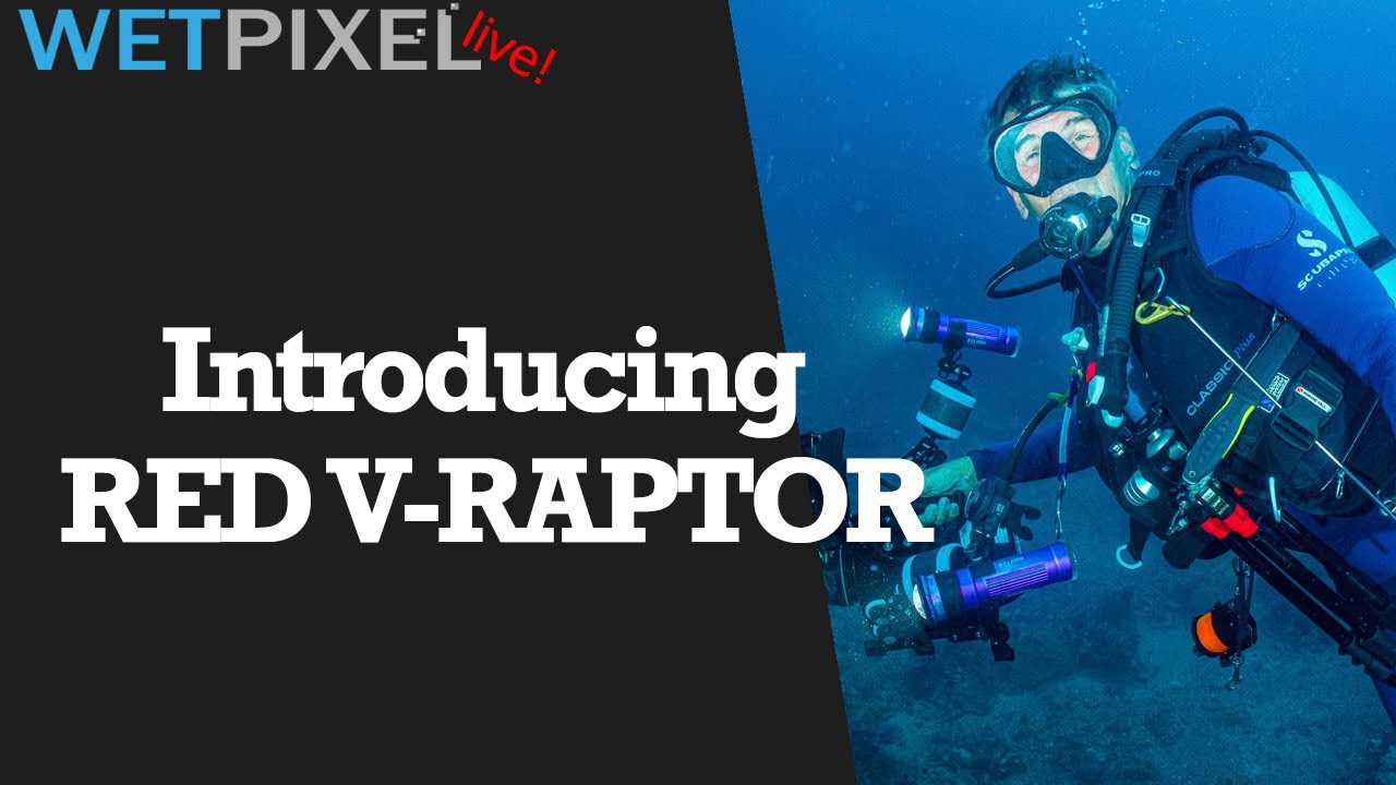 Introducing the RED V-RAPTOR Digital Cinema Camera - YouTube