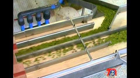 afsatec olive reception line.mpg