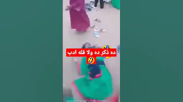 الذكر عند الصوفيه اضحك مع الشيخ محمد مصطفى عبدالقادر 