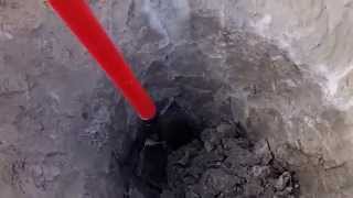 Lesche Predator Sampson Shovel