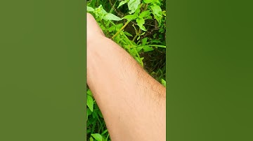 Thumbnail of #shortvideo #song #music #funny #subscribe