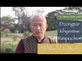 An interview with dzongsar khyentse rimpoche  nagaloka