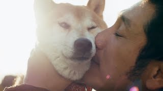 おっさん3人と柴犬3匹の公園ダベリエンターテインメント／映画版『柴公園』特報