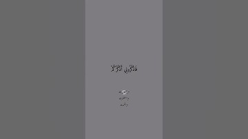 قرآن كريم بصوت إسلام الصبحي || فأذكروني اذكركم و اشكروا لي و لا تكفرون