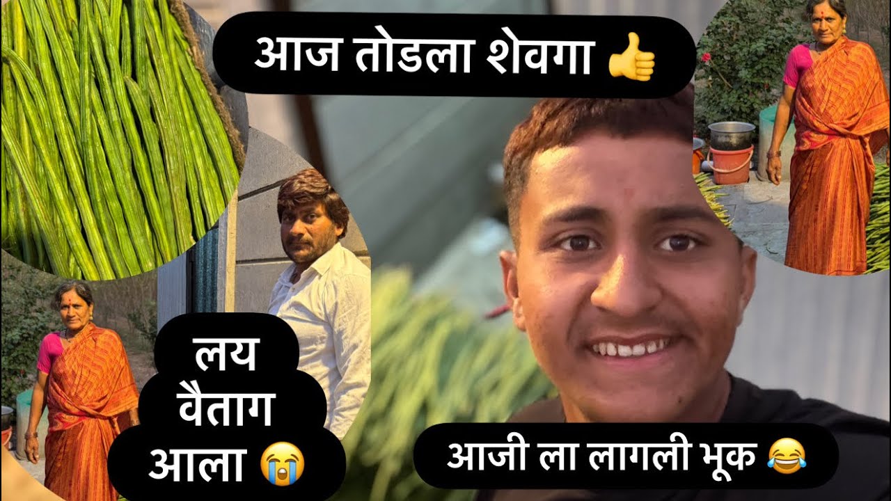 आज शेवगा तोडण्यात गेला दिवस 😭 #viral #farming #village #shevgasheti #family #blogger 