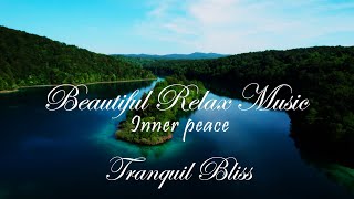 Ultimate Relaxation & Harmony! Calming Piano🍃(Serene Sounds of Flowing Brook, Gentle Spring Birds)!