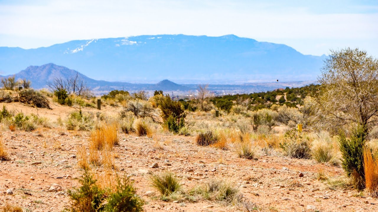 A Look Around the Frank Ortiz Dog Park In Santa Fe, NM YouTube