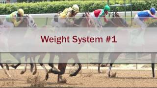Free Horse Racing Handicapping System that Works | Weight System screenshot 4