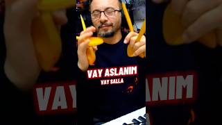 Vay Aslanim Vay I