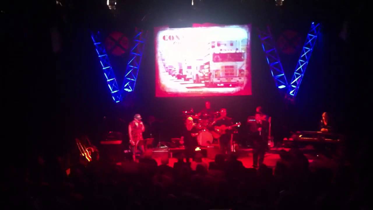 Fabulous Armadillos - YouTube