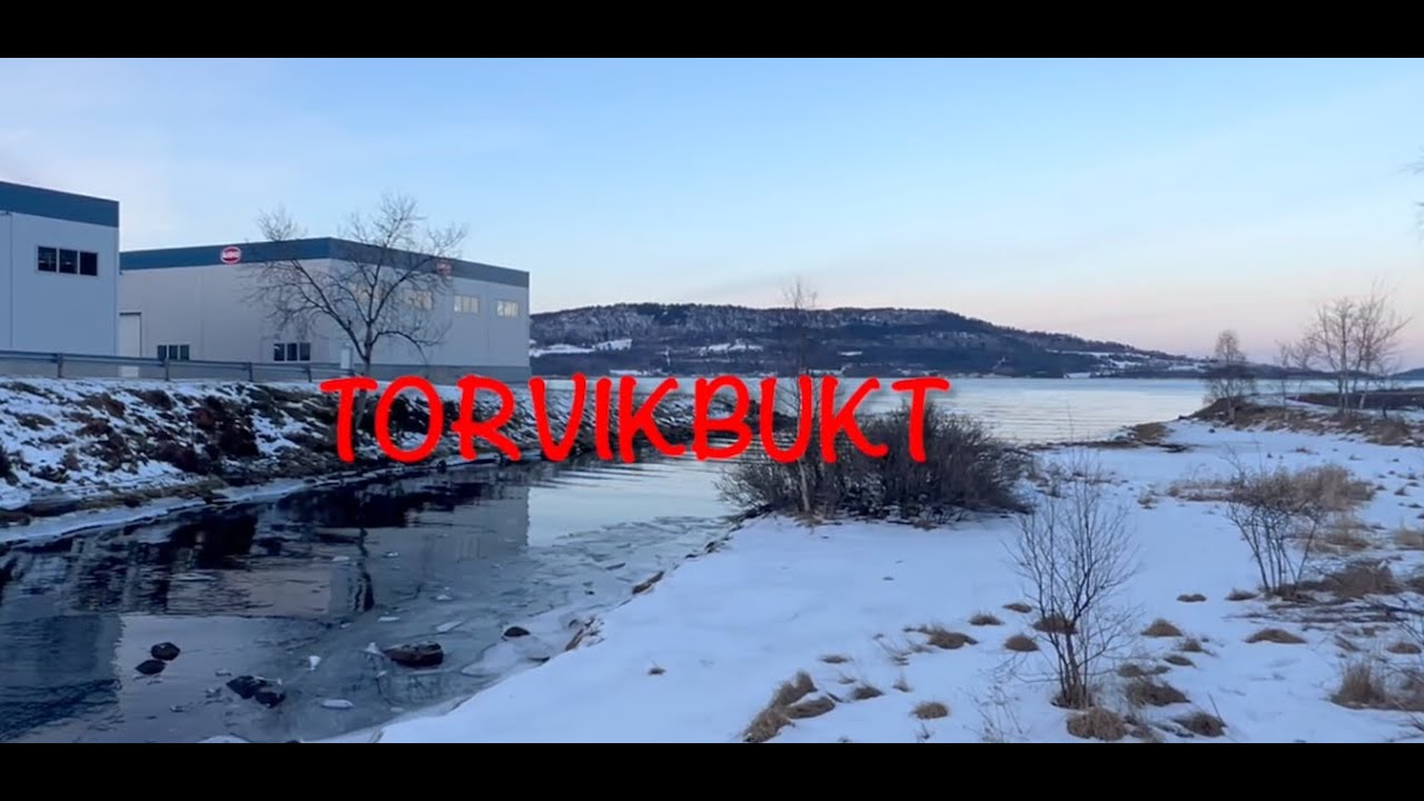 Wbucks Skins Torvikbukt