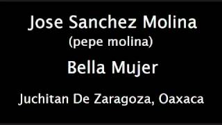 Video thumbnail of "Pepe molina  Bella mujer"