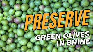 Full of Flavour | Preserved Green Olives in Brine | Recipe