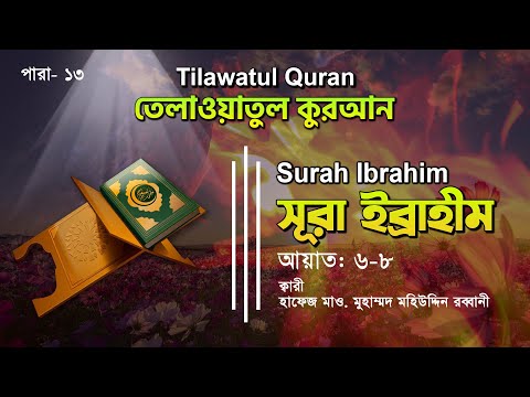 হৃদয় ছোঁয়া তেলাওয়াত || সূরা ইব্রাহীম ( আয়াত ৬-৮) || তেলাওয়াতুল কুরআন || ATR QURAN TELAWAT
