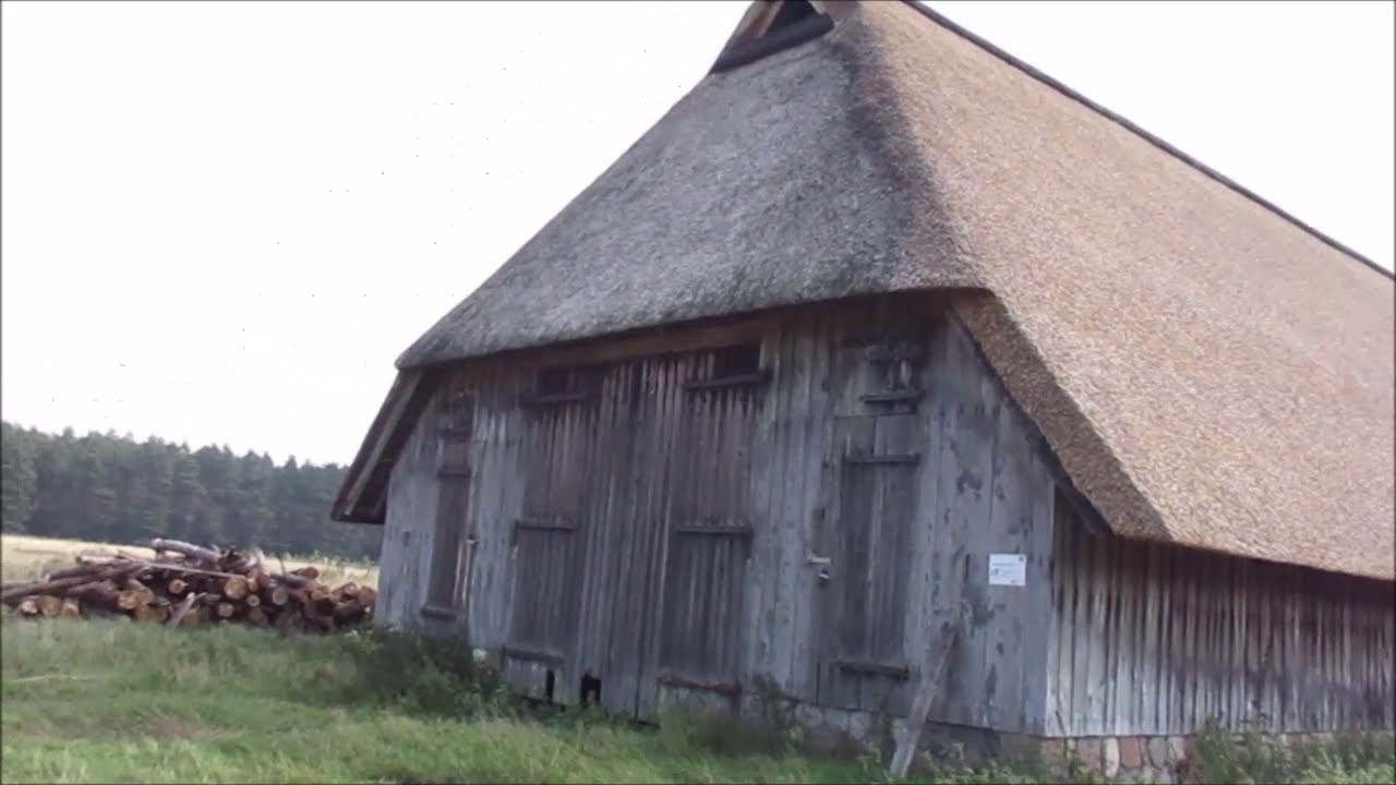 Wanderung ab Undeloh zum Pastor Bode Teich und zu den Weseler Bach