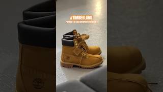 Timberland Premium 6 In Lace Waterproof Boot Wheat