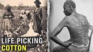 The DISTURBING Life Of A Slave On A Cotton Plantation