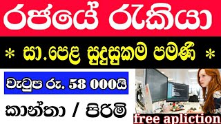 රජයේ රැකියා ඇබෑර්තු /government jobs 2021 /new job sinhala @Sanka_Supun