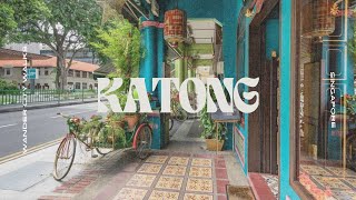 Exploring Katong's Vibrant Nightlife in Stunning 4K | Singapore After Dark #night #nightlife #singa