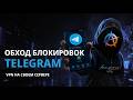 Обход блокировок Telegram: как настроить VPN для на собственном сервере | Amnezia VPN