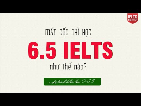 Lộ trình khóa học IELTS từ mất gốc đến 6.5 IELTS| IELTS FIGHTER