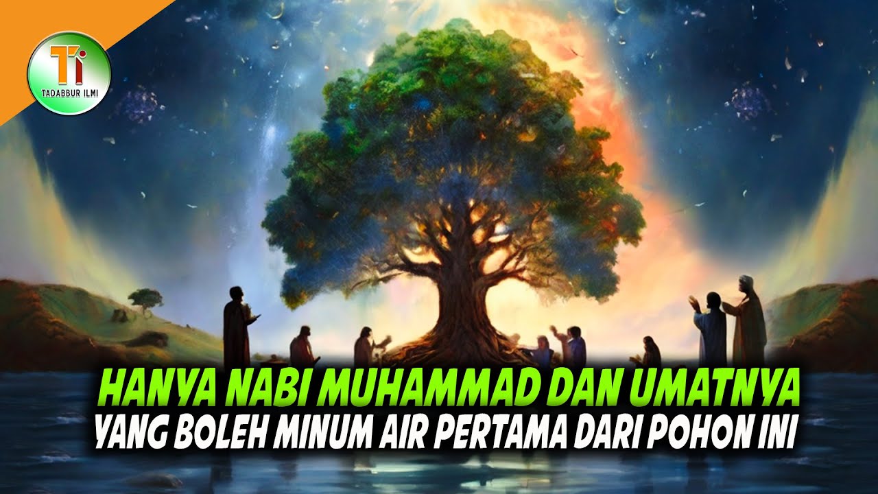 Pohon Terbesar dan Terluas Yang Ada di Surga - YouTube