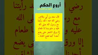 حكمة اليوم من كلام و حكم الصحابة - روائع الحكم و الأقوال #للعقول_الراقية #حكمة_اليوم #الصحابة #حكم